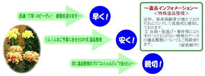 �X���[�K��